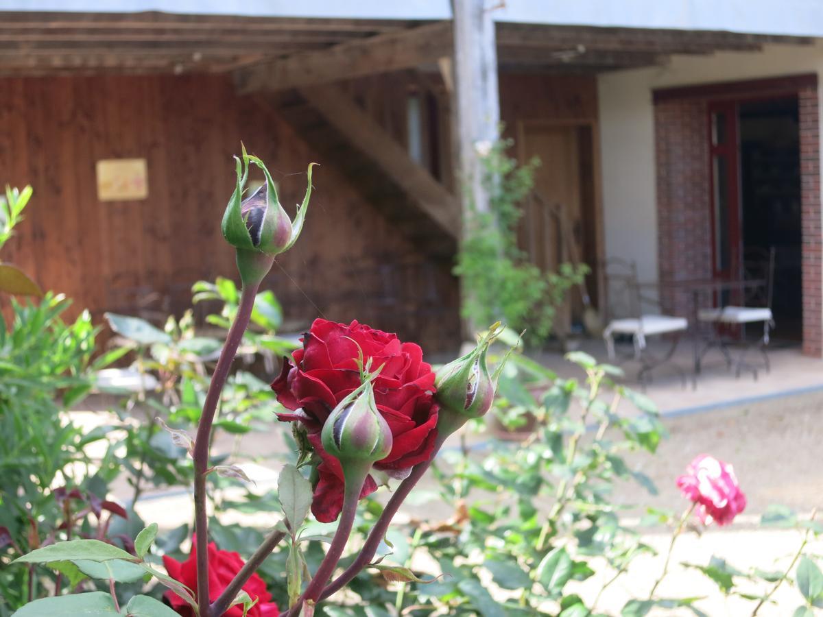 Les Jardins De Lily 호텔 Saint-Léonard-de-Noblat 외부 사진